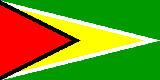 Flag of Guyana